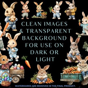 K&ouml;nnte beinhalten: Ein digitaler Clipart-Satz mit 12 Osterhasen in verschiedenen Posen, darunter Hasen, die Karotten, Eier und K&ouml;rbe halten. Die Hasen sind in verschiedenen Farben, darunter Blau, Rosa und Wei&szlig;. Der Hintergrund ist transparent.