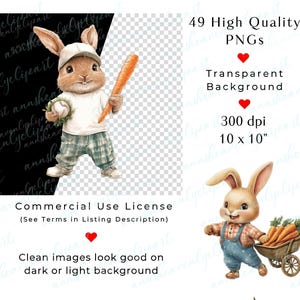 K&ouml;nnte beinhalten: Ein Set mit 49 digitalen Illustrationen von niedlichen Cartoon-Hasen in verschiedenen Posen. Die Hasen halten einen Baseballschl&auml;ger, einen Baseball, Karotten und eine Schubkarre. Die Bilder haben einen transparenten Hintergrund und sind 300 dpi, 10 Zoll mal 10 Zoll.
