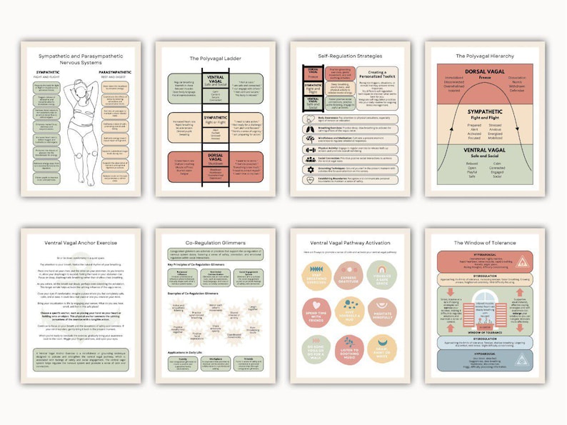 Polyvagal Theory Workbook, Understanding Your Nervous System for