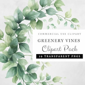Realistic Greenery Vines Clipart, 19 Transparent PNGs, Ivy and Plant Vines for Commercial Use Digital Download