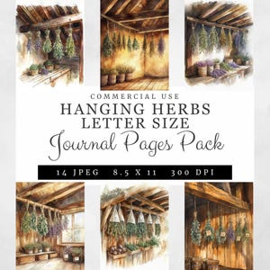 Pagine di diario con erbe aromatiche appese, 14 fogli di carta botanica essiccata, formato lettera 8,5x11, decorazione per diari di erbe aromatiche da appendere, stampabile per uso commerciale