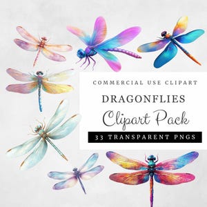 Hyper-realistische Libelle Clipart, 33 transparente PNGs für kommerzielle Nutzung, digitaler Download, Blau, Grün, Pink, Weiß, Lila