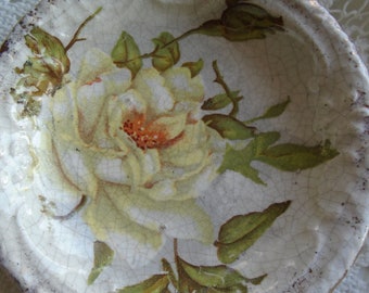 Antiguo col amarilla rosa sal Plato pesado enloquecido antes de la era de 1920 Rosa salvaje blanca