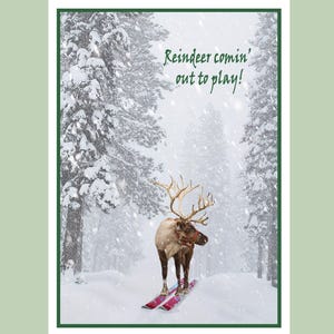 Lustige Weihnachtskarte mit Rentier auf Skiern — 13 x 18 cm Weihnachtsfotokarte — Natururlaubskarte — Verschneiter Wald Fotokarte
