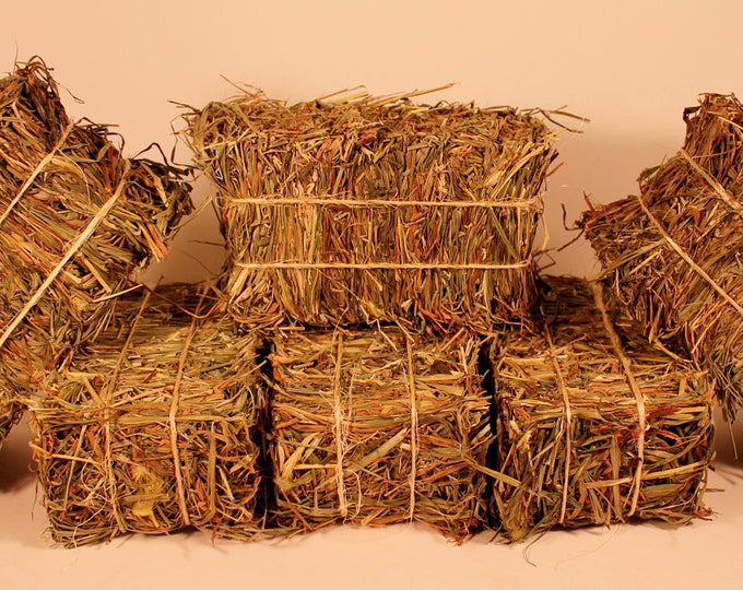 Mini Hay Bales Set of 30 Etsy