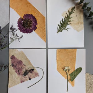 Carte artistiche botaniche pressate / Carta fatta a mano Collage Nota Card Individuale o Set / OOAK Floral Stationery / Biglietto di auguri vuoto Regalo