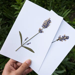 Vraie fleur de lavande pressée carte de vœux | Style tige simple | Fait main pour un anniversaire, la fête des mères et les jours fériés | Des originaux personnalisés pour vous