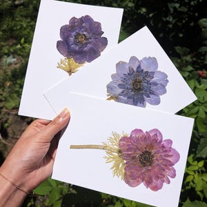 Biglietto di auguri con fiori di anemone pressati autentici / Stile a stelo singolo / Fatto a mano per compleanni, festa della mamma e festività / Originali personalizzati per te