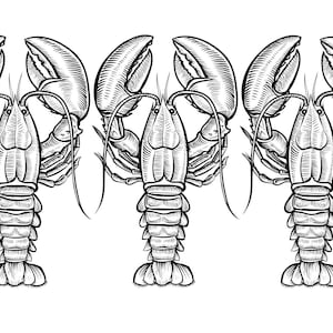 Descarga digital estética de pescador Langosta gráfico-dtf, svg, png, jpeg, archivo de corte, sublimación