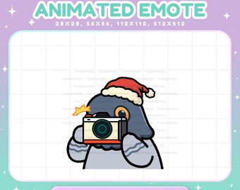 Christmas Pigeon Animated Emote, Cute Twitch Stream Camera (Digital Download)