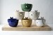 Choose your colour - The little wren bird pottery yarn bowl 