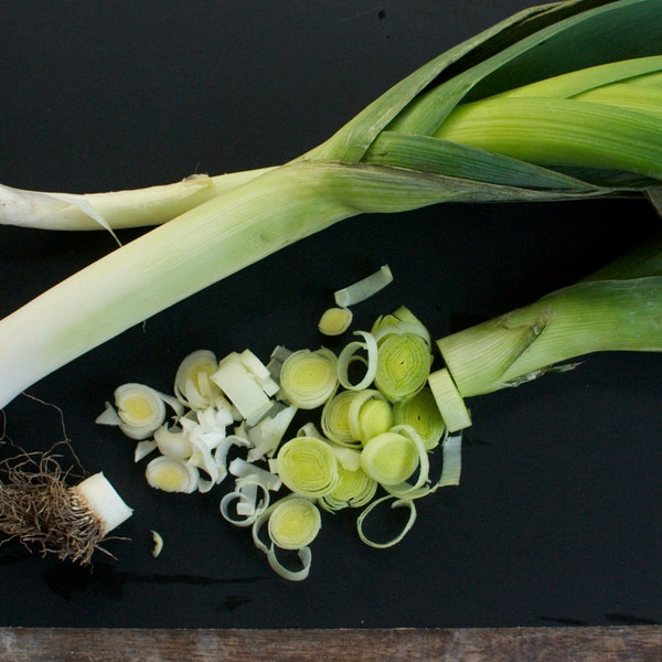 Leek Seeds - Organic American Flag Leeks