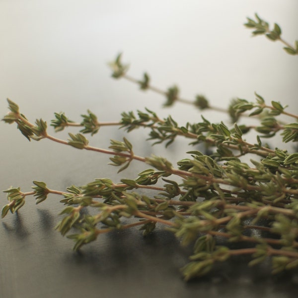 Thyme Herb Seeds - Free Shipping on all Seeds