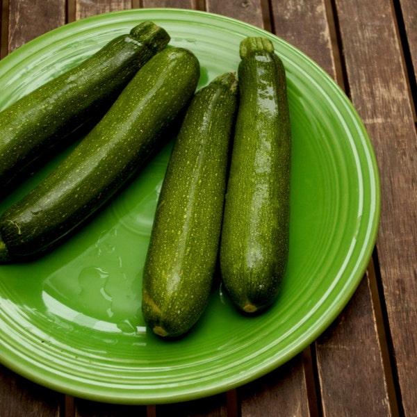 Black Beauty Zucchini Seeds