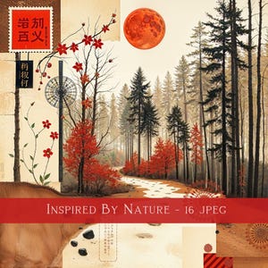 16 einzigartige Illustrationen, welche von der Natur inspiriert sind und geometrische Muster und orientalische Ästhetik im japanischen Stil verbinden