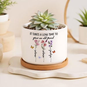Personlig mini-växtkruka i keramik med motiv av vänskap, det tar lång tid att få en gammal vän, vänskapspresent, bästa vänpresent, vänpresent, jul