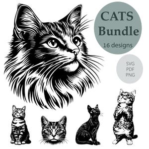 Gravure de chats/ Fichier SVG/ Chats Bundle SVG/ Fichier de gravure/ Fichier d'impression/ Sublimation de chat/ Art animalier/ Graver au laser/ Cricut/ Svg, Png, Pdf
