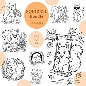 Bundle de cliparts SVG/écureuil écureuil/imprimable/sublimation/gravure laser/animaux vecteur/Cricut/impression conception/Svg, Png, Pdf