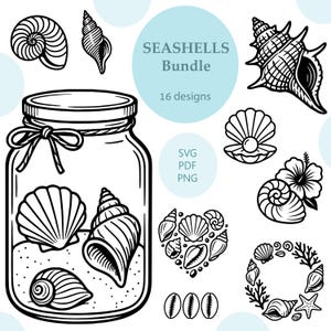 Seashells Engrave/Seashell SVG/Seashell Clipart Bundle/Printable/Sublimation/Engrave Laser/Vector/Seashells Print Design/Cricut/Svg,Png,Pdf