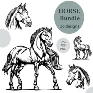 Horse SVG Clipart Bundle: Laser Engrave 16 Vector Designs (PDF, PNG)
