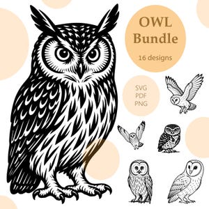 Eule Gravieren/Eule SVG/Eule Сharacter Clipart Bundle/Printable/Sublimation/Gravieren Laser/Eule Vogel Vektor/Vogel Cricut/Eulen Design/Svg, Png, Pdf