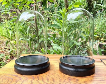 Vintage Display Dome With Hand Turned Wooden Base
