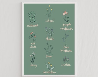 Wildflower Chart, Michigan Wildflowers, Floral Botanical Chart, Botany Poster, Fleur Poster, Clover Flower, Dandelion Flower, Milkweed