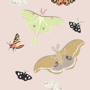 Moth Illustration - Forest Moths Art Print - Luna Moth, Polyphemus Moth, and Tiger Moth