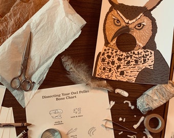 Faux Owl Pellet Nature Craft - Bird Homeschool Project - Printable Homeschool Activity - Homeschool Science Resource - Digital Download