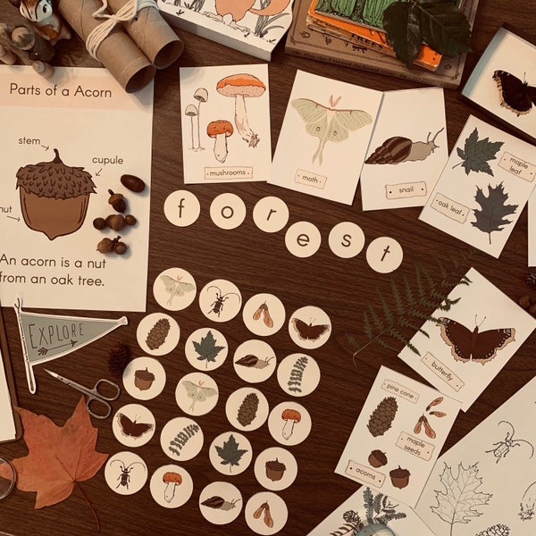 Little Forest Dwellers Bundle - Printable Nature Study - Homeschool Science Resource - Digital Download