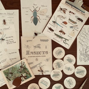 Insects Unit Study, Kids Bug Study, Digital Download, Printable Nature Study, Homeschool Science Educational Resource