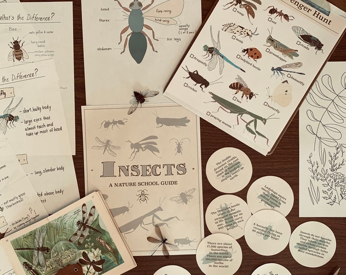 Insects Unit Study, Kids Bug Study, Digital Download, Printable Nature ...