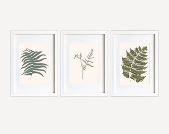 Woodland Fern Art Prints - Fern Illustrations - Set of 3 Prints - Forest Botanical Wall Art