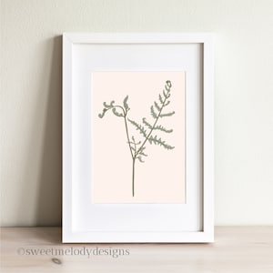 Fern Illustration, Botanical Woodland Art Print, Forest Fern No. 3, Fern Art Print
