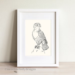 Minimal Bird Art Print - Red Tailed Hawk Illustration - Bird Home Decor