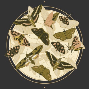 Moth Art Print - Moth Illustration - Moth Eclipse Art Print