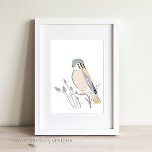 American Kestrel Illustration, Kestrel Art Print, Bird of Prey Decor, Bird Wall Art
