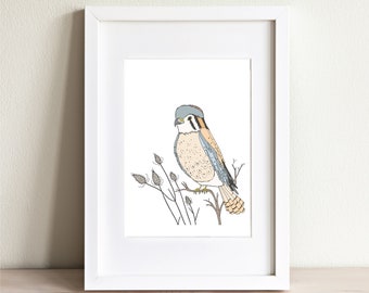 American Kestrel Illustration, Kestrel Art Print, Bird of Prey Decor, Bird Wall Art