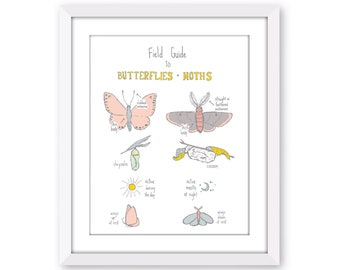 Butterflies and Moths Field Guide Illustration, Butterfly and Moth Nature Study Art Print, Girls Room Butterfly Art, Bright Color Insect Art