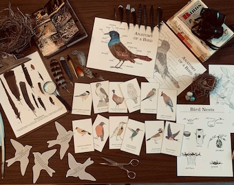 Bird Unit Study Bundle - Printable Nature Study - Homeschool Science Resource - Digital Download