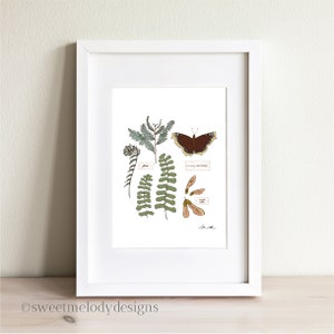Nature Journal Art No 2, Nature Study Art Print, Forest Plants and Creatures, Homeschool Educational Resource, Field Guide Illustration