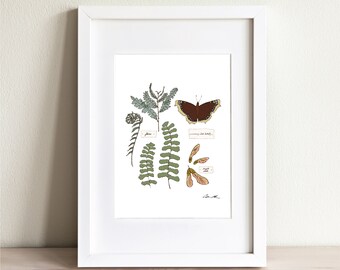 Nature Journal Art No 2, Nature Study Art Print, Forest Plants and Creatures, Homeschool Educational Resource, Field Guide Illustration