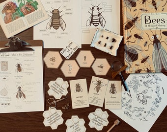 Bee Study Bundle - Bee Unit Study - Printable Nature Study - Homeschool Science Resource - Digital Download