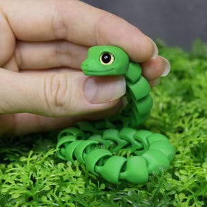 May include: A green segmented snake toy with a black eye. The snake is made of soft, flexible material and is posed in a coiled position.