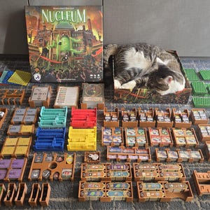 Può includere: Gioco da tavolo "Nucleum" con componenti, carte e pezzi di plastica colorati. Un gatto riposa nella scatola del gioco. L'illustrazione della scatola raffigura una scena cittadina. Il gioco è su una superficie a motivi.