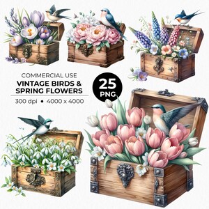 Pássaros Vintage com Flores da Primavera e Baú do Tesouro PNG - Ilustração Floral da Primavera, Jardim Rústico, Páscoa, Dia das Mães Download Digital