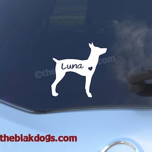 Pode incluir: Silhueta branca de um c&atilde;o Rat Terrier com o nome "Luna" e um pequeno cora&ccedil;&atilde;o na janela do carro.