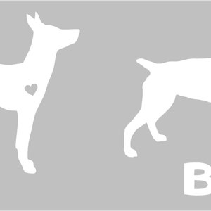 Pode incluir: Duas imagens de silhueta branca de c&atilde;es Rat Terrier, um em p&eacute; e outro sentado, com um cora&ccedil;&atilde;o no centro de cada imagem. A imagem &eacute; rotulada com "A" e "B" abaixo de cada c&atilde;o.
