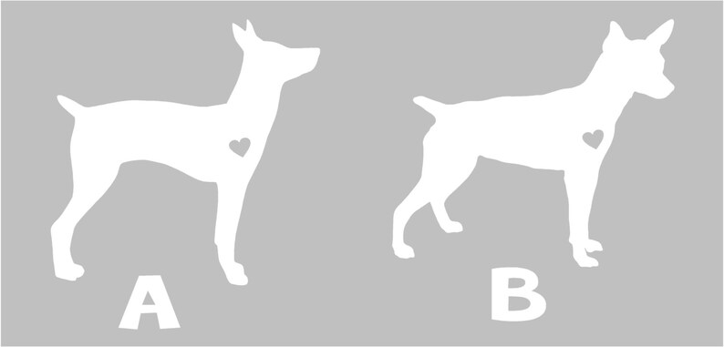 Pode incluir: Duas imagens de silhueta branca de c&atilde;es Rat Terrier, um em p&eacute; e outro sentado, com um cora&ccedil;&atilde;o no centro de cada imagem. A imagem &eacute; rotulada com "A" e "B" abaixo de cada c&atilde;o.
