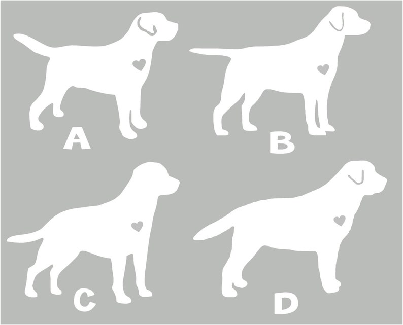 Puede incluir: Cuatro im&aacute;genes de silueta blanca de perros Labrador Retriever con corazones en el pecho. Los perros est&aacute;n etiquetados como A, B, C y D.